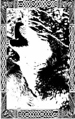 Wolves Eyes : Nostalgia in Our Souls